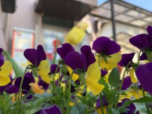 愛知県大府市ホンダトーヨー住器株式会社