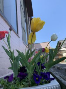 愛知県大府市ホンダトーヨー住器株式会社