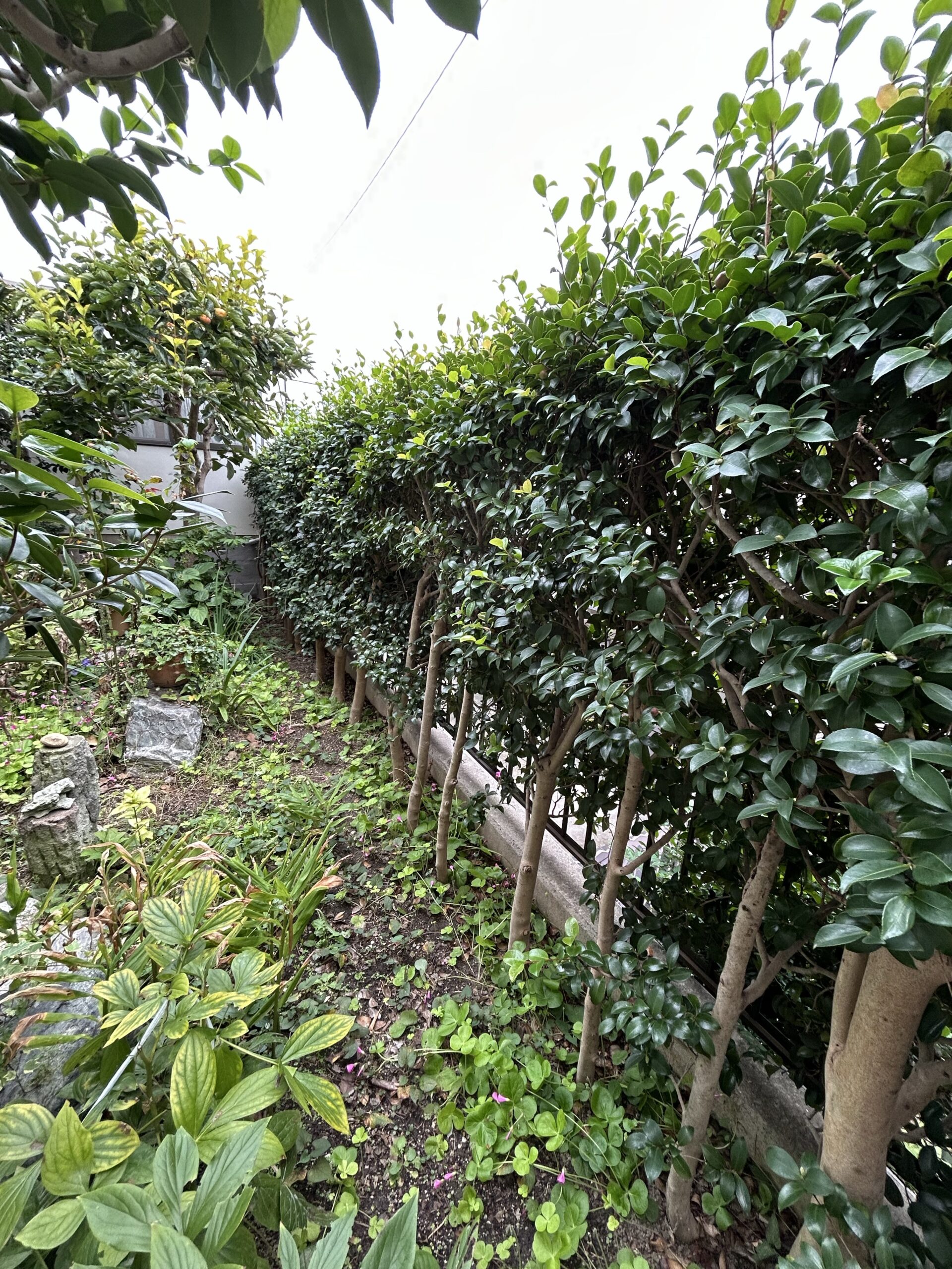 愛知県豊明市の戸建住宅にて、フェンス設置工事を行いました。（LIXIL アルミフェンスAB YS3型 T14）【窓香房】