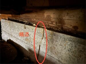 愛知県知多市にて、シロアリ点検を行いました。【窓香房】