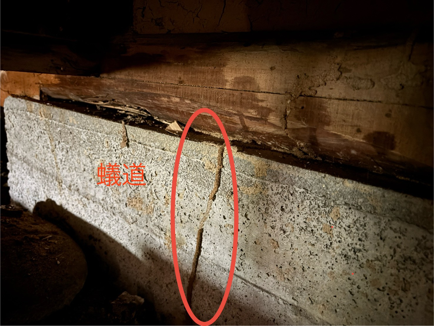 愛知県知多市にて、シロアリ点検を行いました。【窓香房】