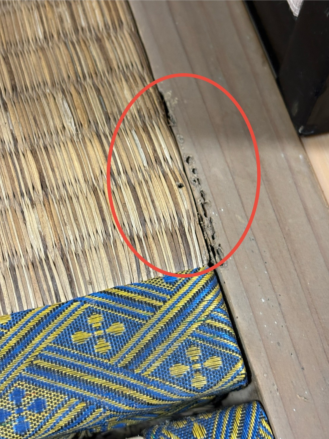 愛知県知多市にて、シロアリ点検を行いました。【窓香房】